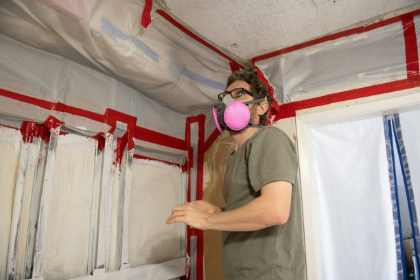 Best Asbestos and Lead Testing During Mold Inspection  in Pearl River, NY