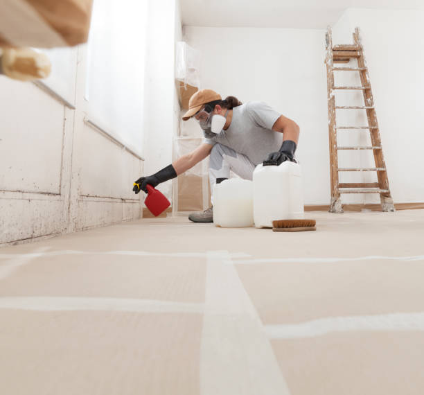 Best Air Quality Testing for Mold Spores  in Pearl River, NY